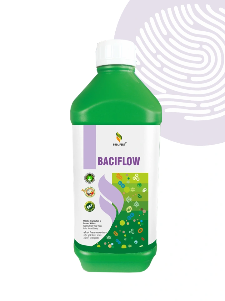 BACIFLOW