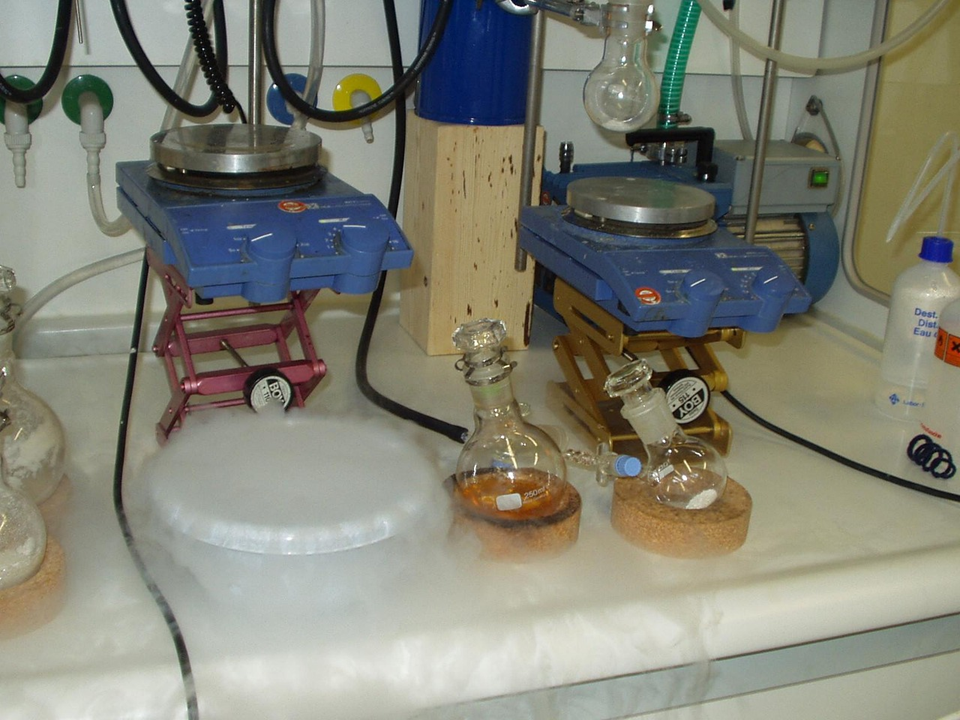 Bioefficacy Trials