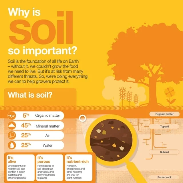 Soil Testing